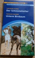 Der Schimmelreiter + Unterm Birnbaum (T. Strom & T. Fontane)