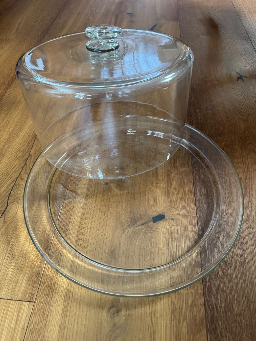 Verres: Prächtige Glasplatte mit Glasglocke – D'occasion à Thalwil par Batlizh 1