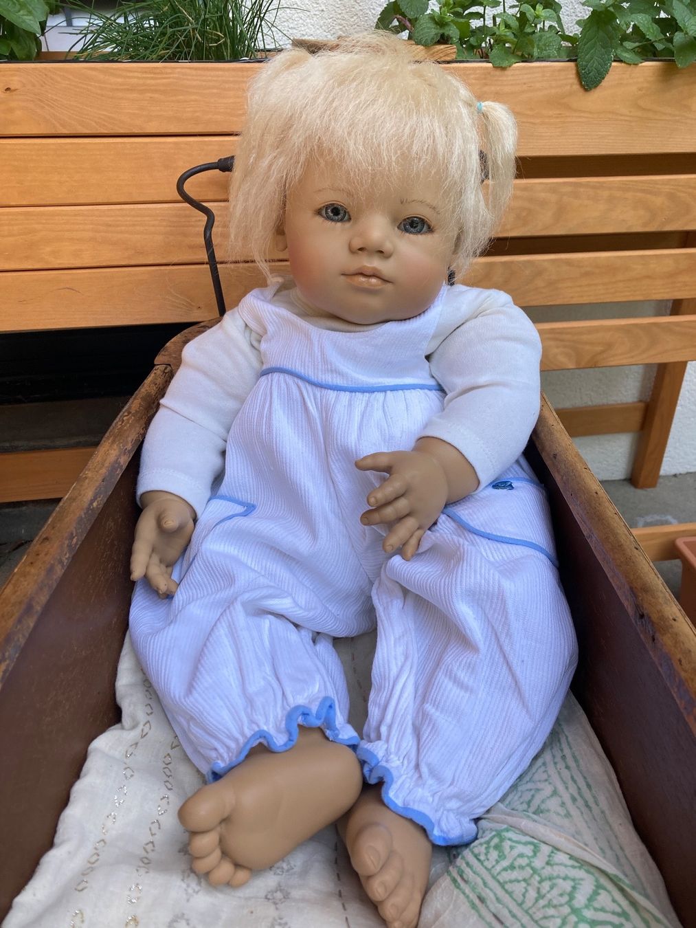 Annette Himstedt Bambole: Annette Himstedt Puppe Ännchen mit Zertifikat und Karton – Usato da Bottmingen venduto da Laternenlicht 3