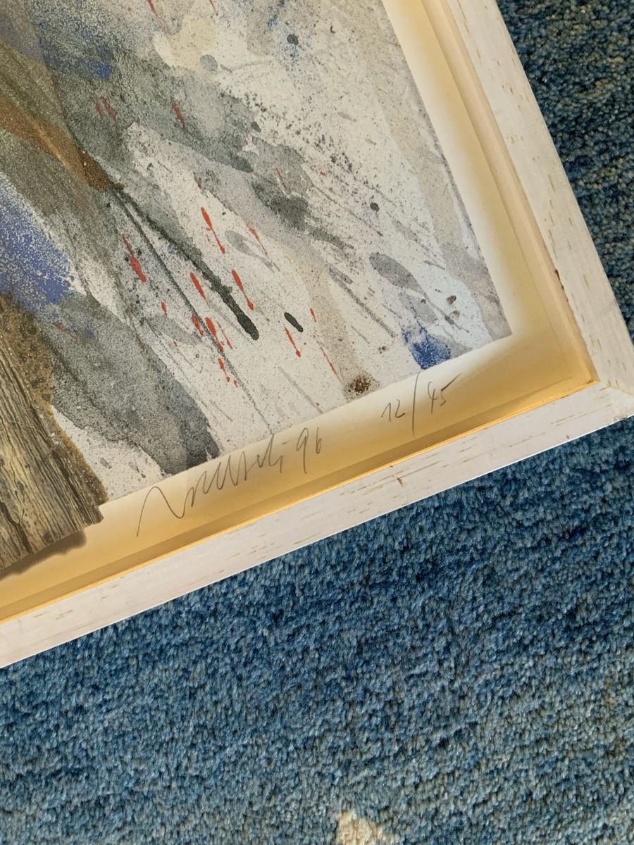 Foto & Immagini: Rolf Iseli  Bild – Usato da Männedorf venduto da Inastore 3