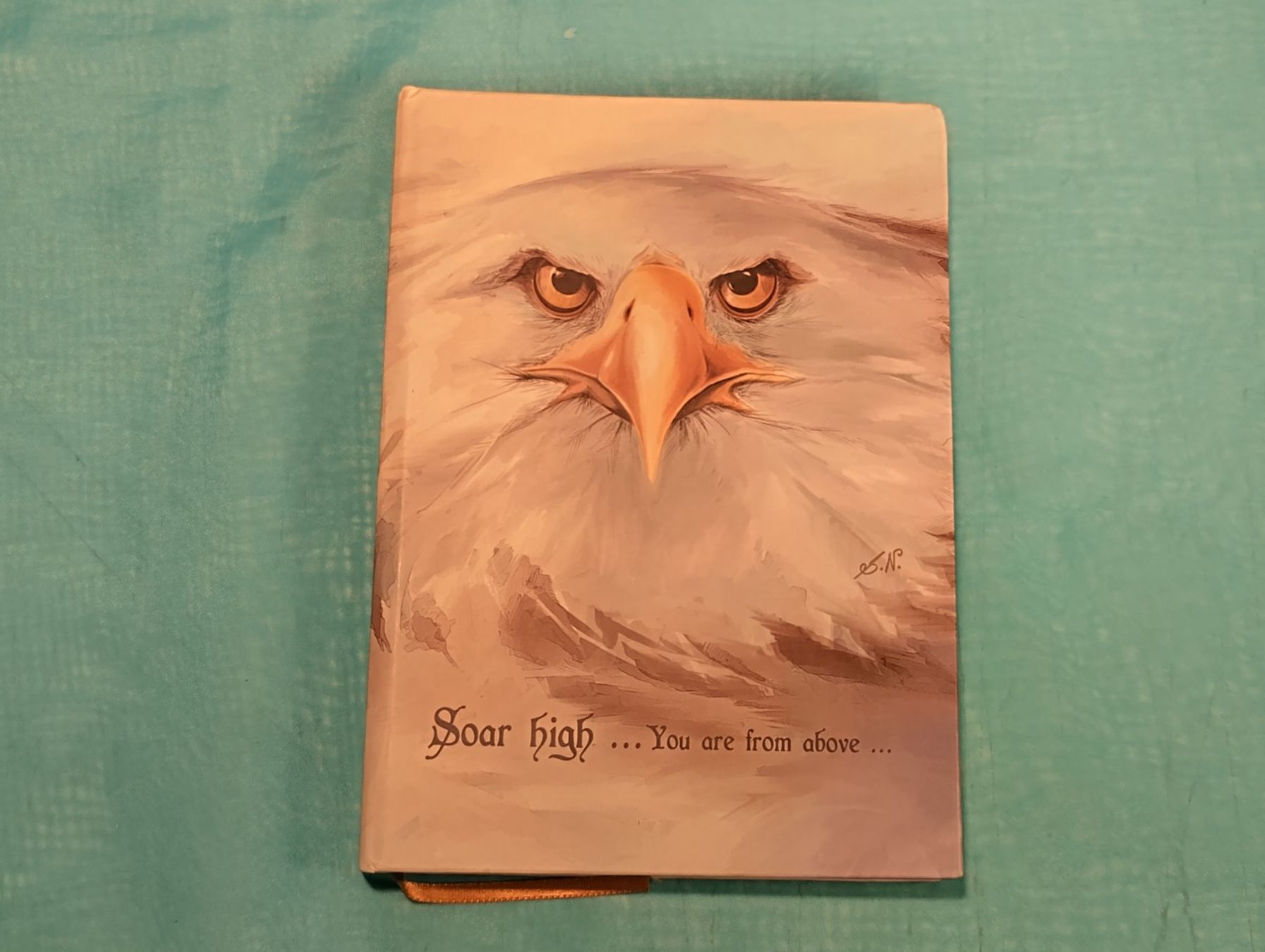 Blocchi: Notizbuch, Tagebuch mit Adler, Hardcover – Nuovo (secondo la descrizione) da Bellach venduto da JingleCherry