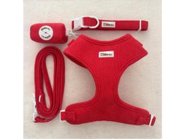 Hundegeschirr – Willow & Co