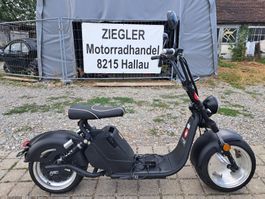 E-Scooter E-Roller Ridelec SUV X Rider Chopper Lieferung def