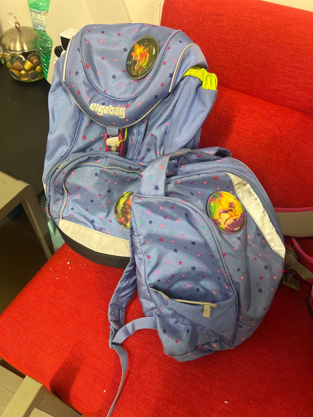 Ergobag Borse & Zaini: Ergobag Tashe – Usato da Menzingen venduto da Mypersonalshopp