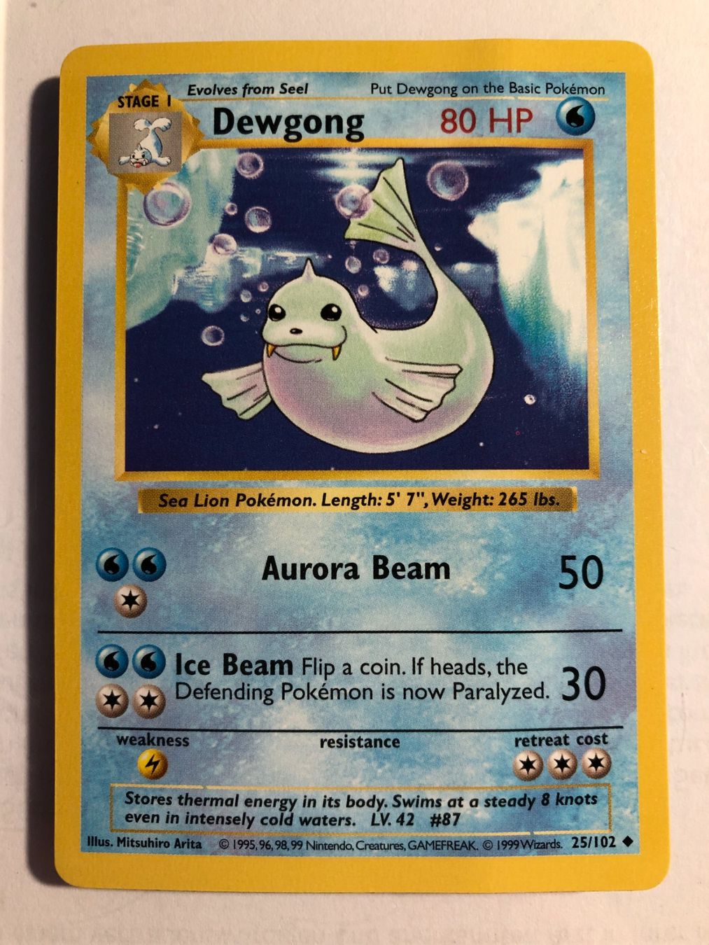 Carte collezionabili: Dewgong (uncommon) Base Set Shadowless - PL - ab 1.- – Usato da Giubiasco venduto da dan_pr8b