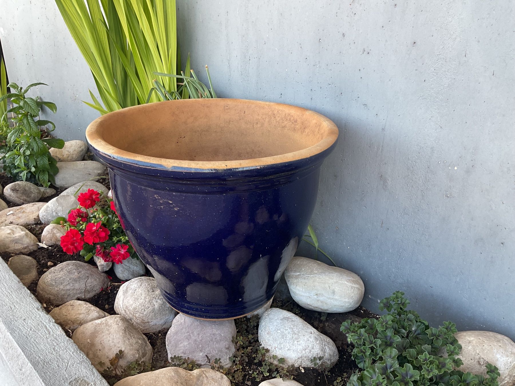 Pots de fleurs: Pot de fleurs terracotta – D'occasion à Neuchâtel par sta_7qfy 3