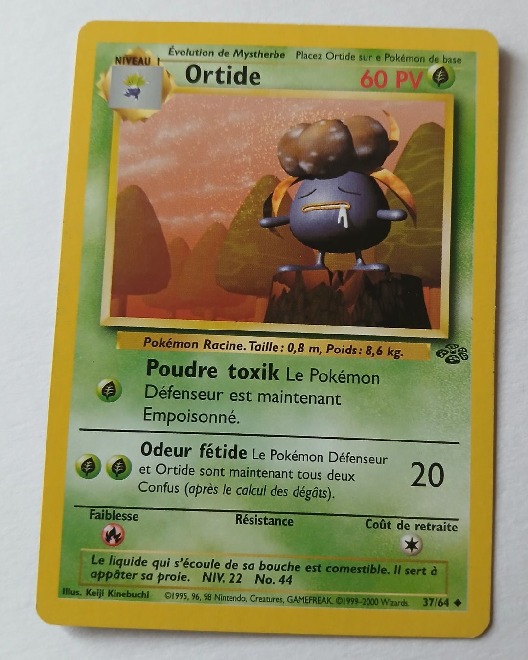 Pokémon Carte collezionabili: Carte Pokémon Ortide FR 1999-2000  – Usato da Sciernes-d'Albeuve venduto da Dojo004