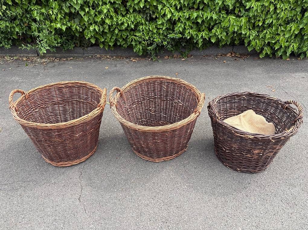 Accessori: 3 Weidenkörbe – Usato da Zürich venduto da franobri