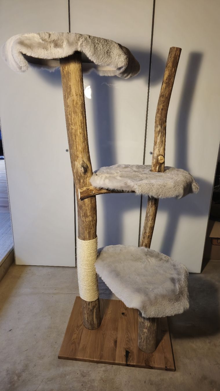 Tiragraffi: Natur Katzenbaum/ Kratzbaum – Nuovo e nell'imballaggio originale da Appenzell Meister. venduto da Morize98 1