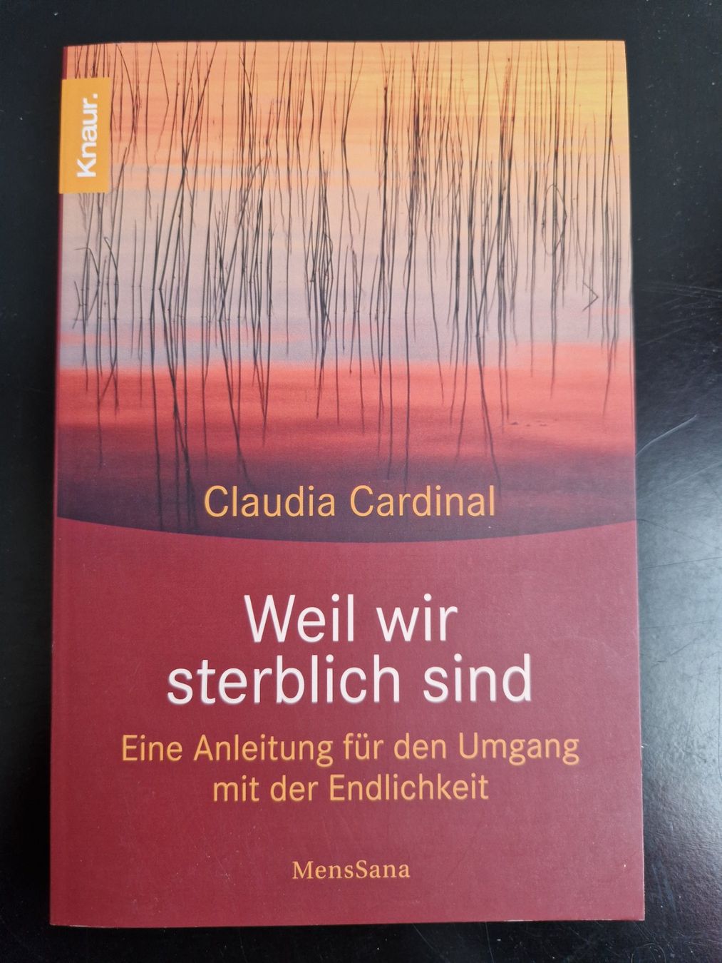 Libri: Weil wir sterblich sind – Nuovo (secondo la descrizione) da Rüti ZH venduto da Gigelisuppe