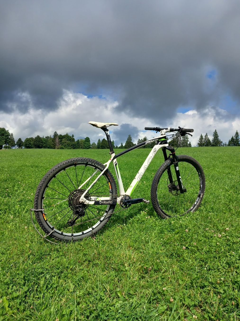 Biciclette: Bike Race SSL carbone – Usato da Tramelan venduto da mic_fnf6 2
