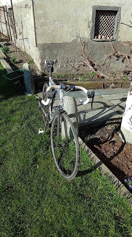 Biciclette: Colnago Dream RH 59cm – Usato da Cazis venduto da Morrisb 3