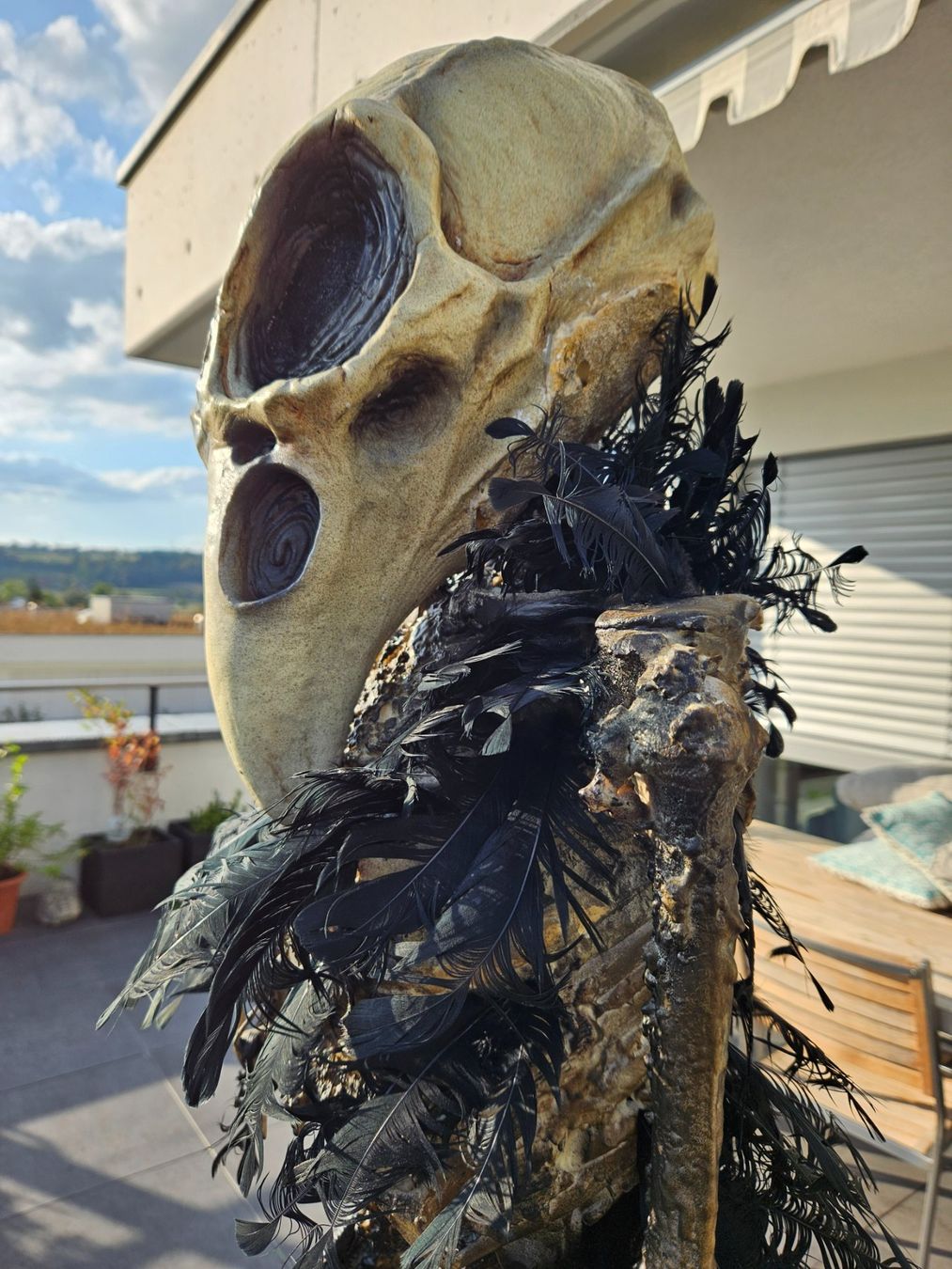 Tutte le decorazioni: HALLOWEN / HORROR RABEN SKELETT – Nuovo (secondo la descrizione) da Root venduto da LifestyleAccessoires 5