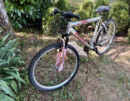 MTB & TREKKING ESPERIA-PROXIMA 18 vitesses Homme