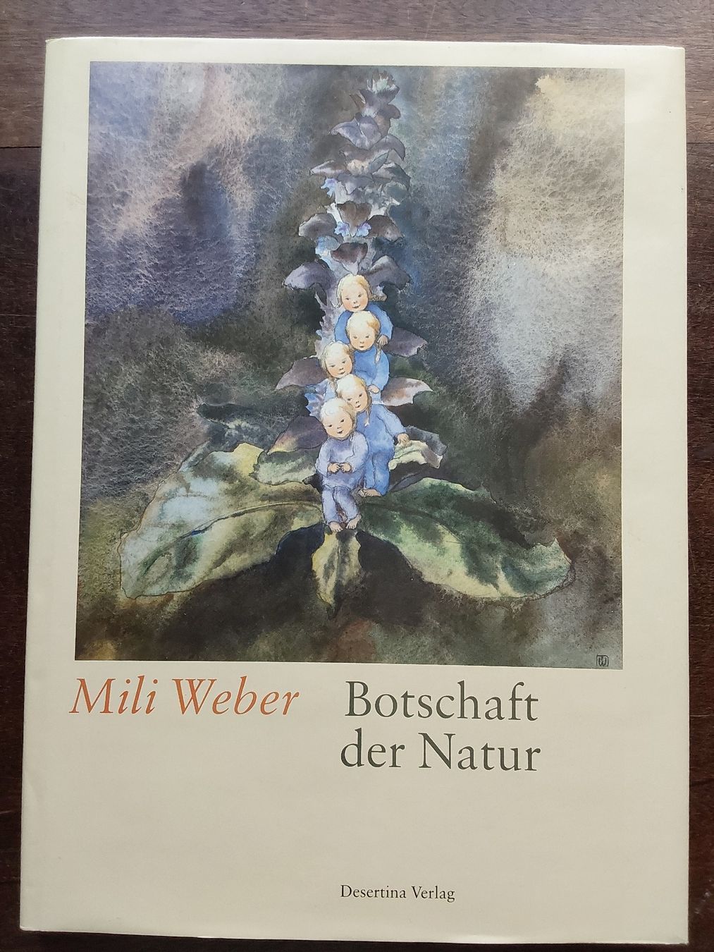 Bücher: Mili Weber mit 110 Seiten. – Gebraucht aus Steinach von Chilli1957