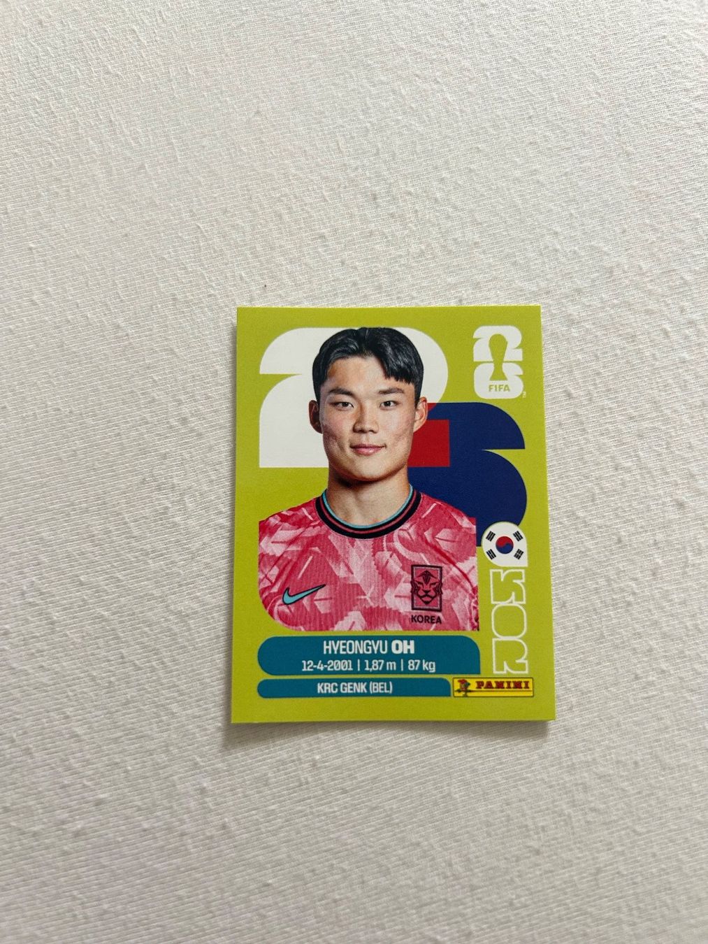 Panini Cartes à collectionner: Panini KOR 20 – D'occasion à Steckborn par DavidLM