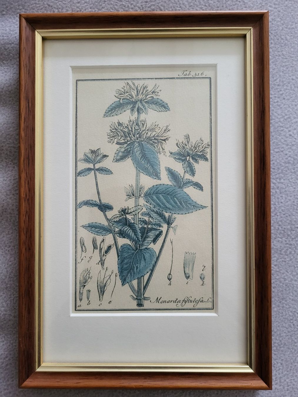Grafica & Litografie: Zwei schöne Bilder (vermutlich Lithografien) – Usato da Guntershausen venduto da Luzia62 2