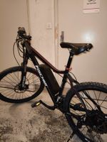 E Bike Fischer