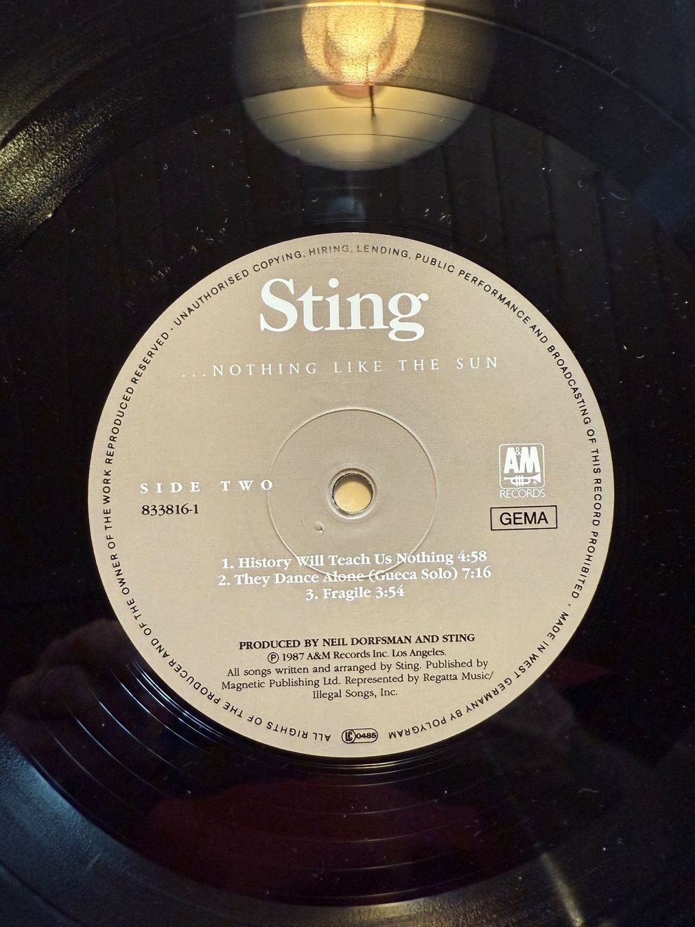 Dischi in vinile: Sting – ...Nothing Like The Sun - Original – Usato da Unterägeri venduto da hero87333 8
