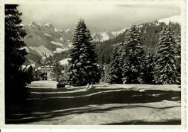 Arosa