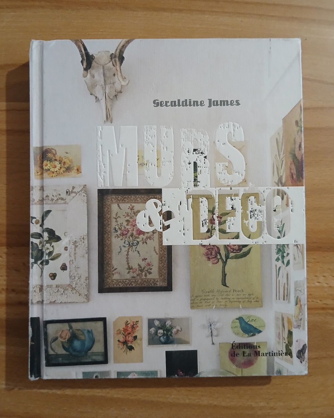 Bücher: Murs & Déco, Séraldine James, idées originales maison! – Gebraucht aus Le Sentier von arc_2thy