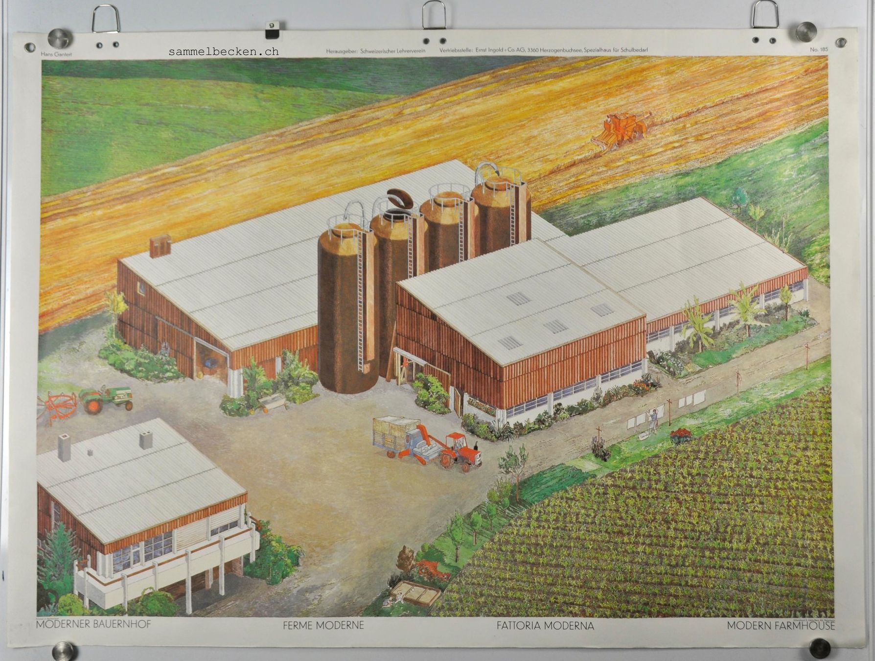 Foto & Immagini: Schulwandbild Moderner Bauernhof @budda – Usato da Härkingen venduto da sammelbecken