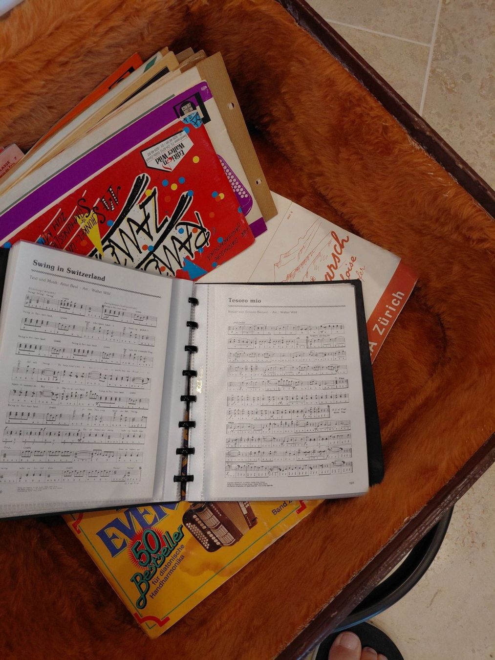 Instruments de musique: RECORD. Diatonisches Accordeon, Handorgel – D'occasion à Zürich par Breze 4