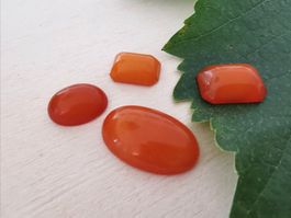 4 Stk. Natur-Bernstein Cabochon aus der Ostsee/Sondererkauf