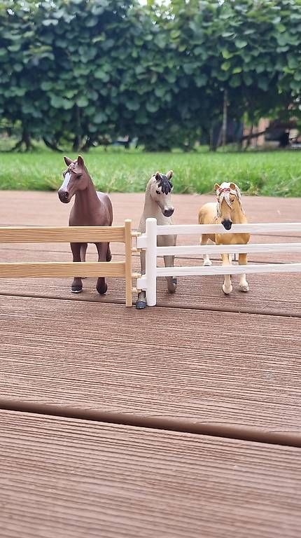 Giocattoli: Set de chevaux Schleich  – Usato da St-Sulpice VD venduto da rog_c28g 2