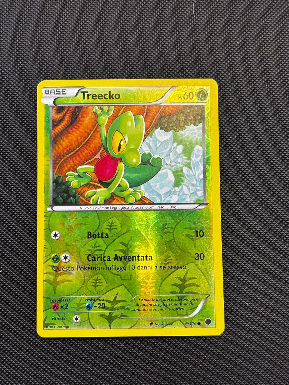 Pokémon Carte collezionabili: It - Treecko Reverse 6/116 - Pokémon – Usato da Neuchâtel venduto da caraadryn 2