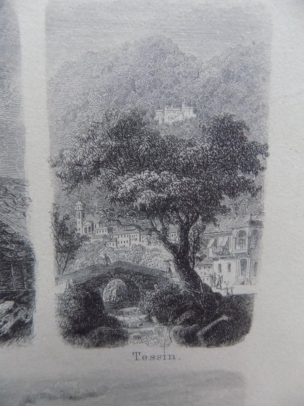 Incisioni: Types des maisons – Usato da Risch venduto da Rischli15 3