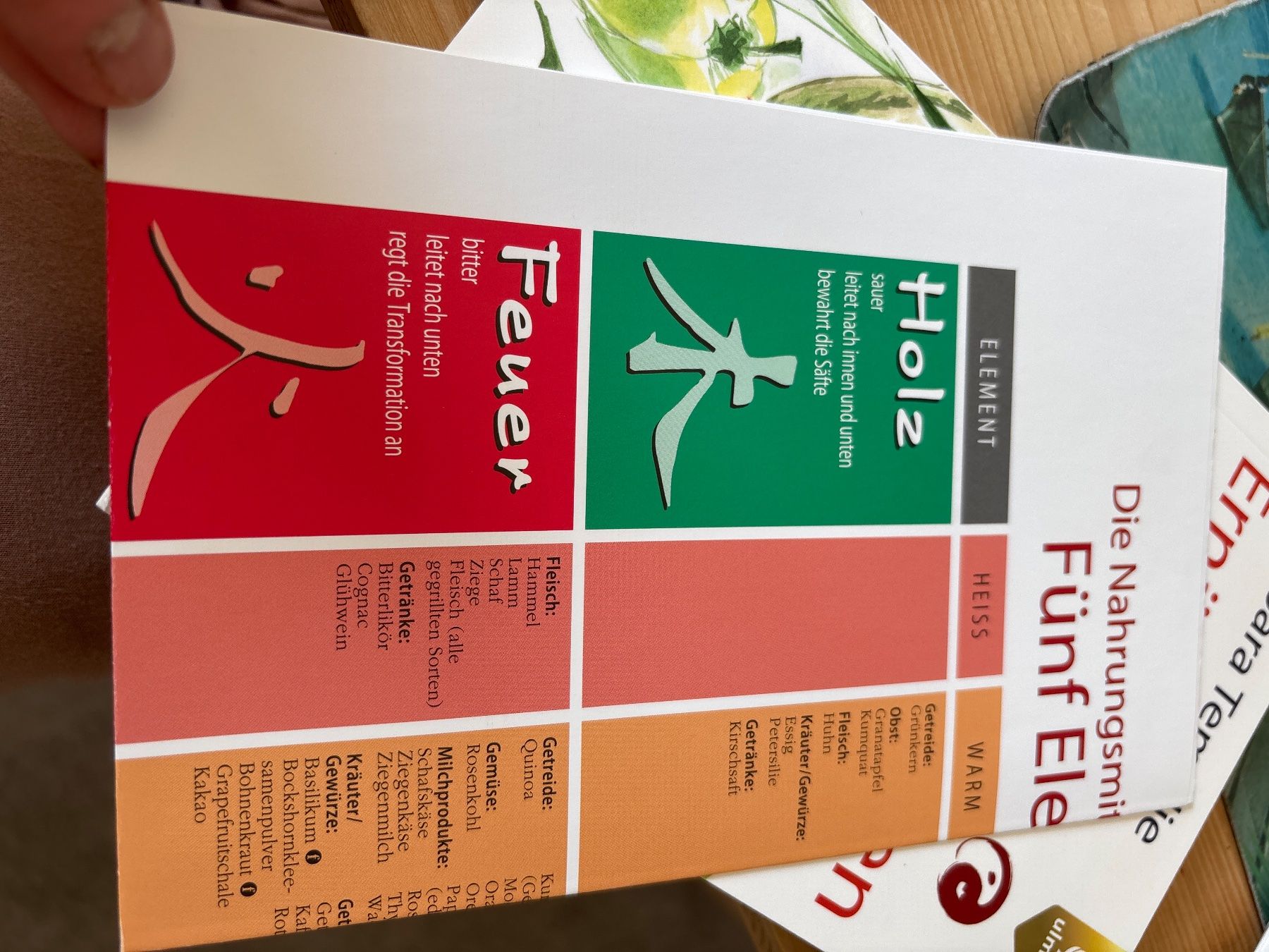 Libri: Ernährung nach den fünf Elementen – Nuovo e nell'imballaggio originale da Tumegl/Tomils venduto da Nibe02 2