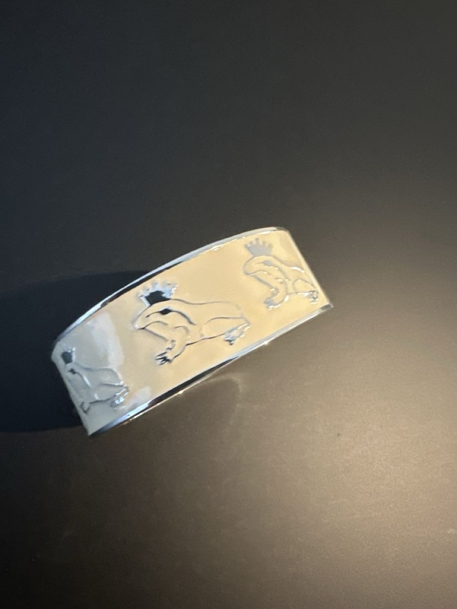 Bracciali & Braccialetti: SYL Armreif neu weiss – Nuovo (secondo la descrizione) da Däniken SO venduto da NBdesign