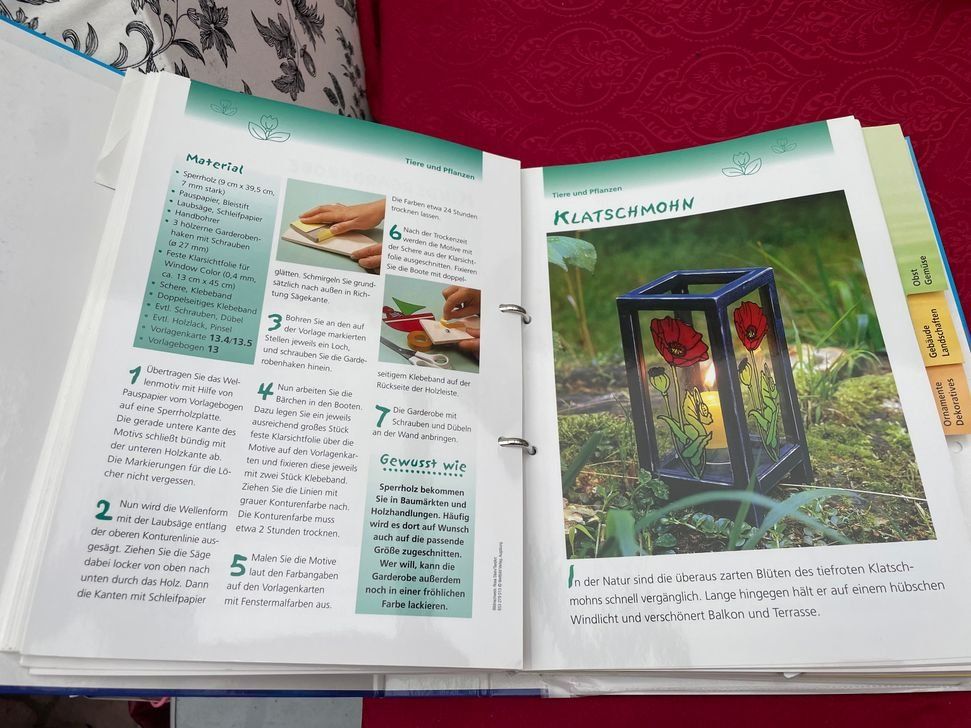 Libri: Window Color Ordner mit Vorlagen 1001 Ideen – Usato da Bergdietikon venduto da antovale 3