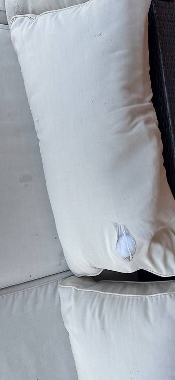 Divani: Lounge günstig abzugeben – Usato da Zürich venduto da rafa014 3