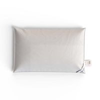 2 Stück Standard Kissen Pfulmen 65 x 100cm 1300g neu ovp