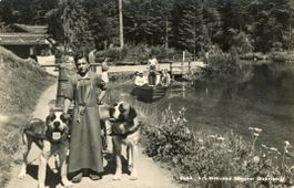 Blausee   BE  -   Frau mit 2-er Hundegespann   um 1956