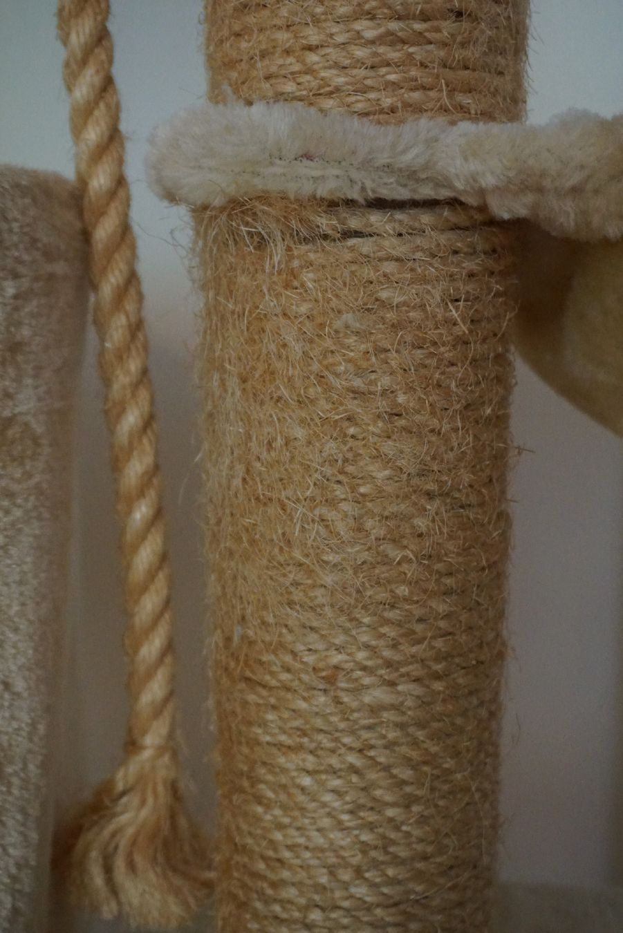Arbres à chats: Katzenbaum – D'occasion à Zürich par ina_sc8h 1