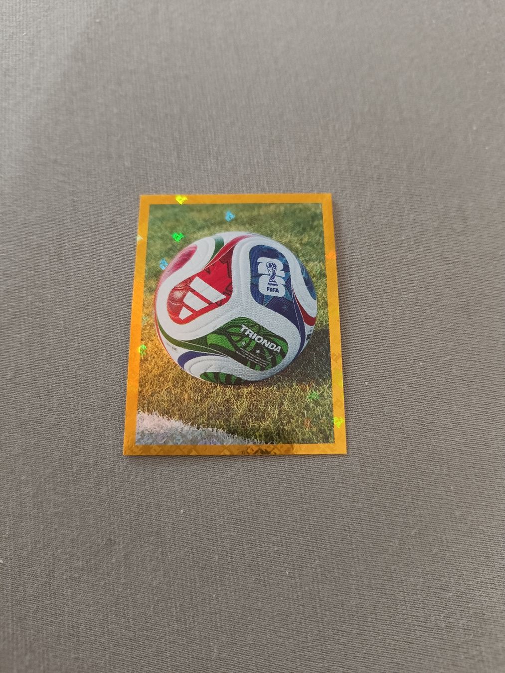 Panini Cartes à collectionner: Panini FWC5 – Neuf avec emballage d'origine à Muri AG par Puschelknuffel