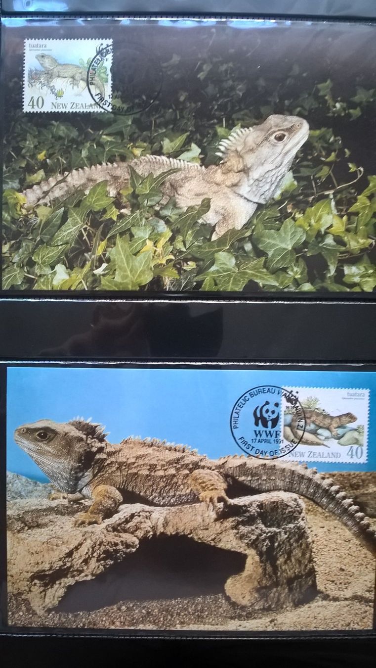 Alle Briefmarken: WWF Neuseeland 1991 Brückenechse Satz Maximumkarten – Neu (gemäss Beschreibung) aus Winterthur von schnueps