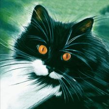 Profile image of chicco64