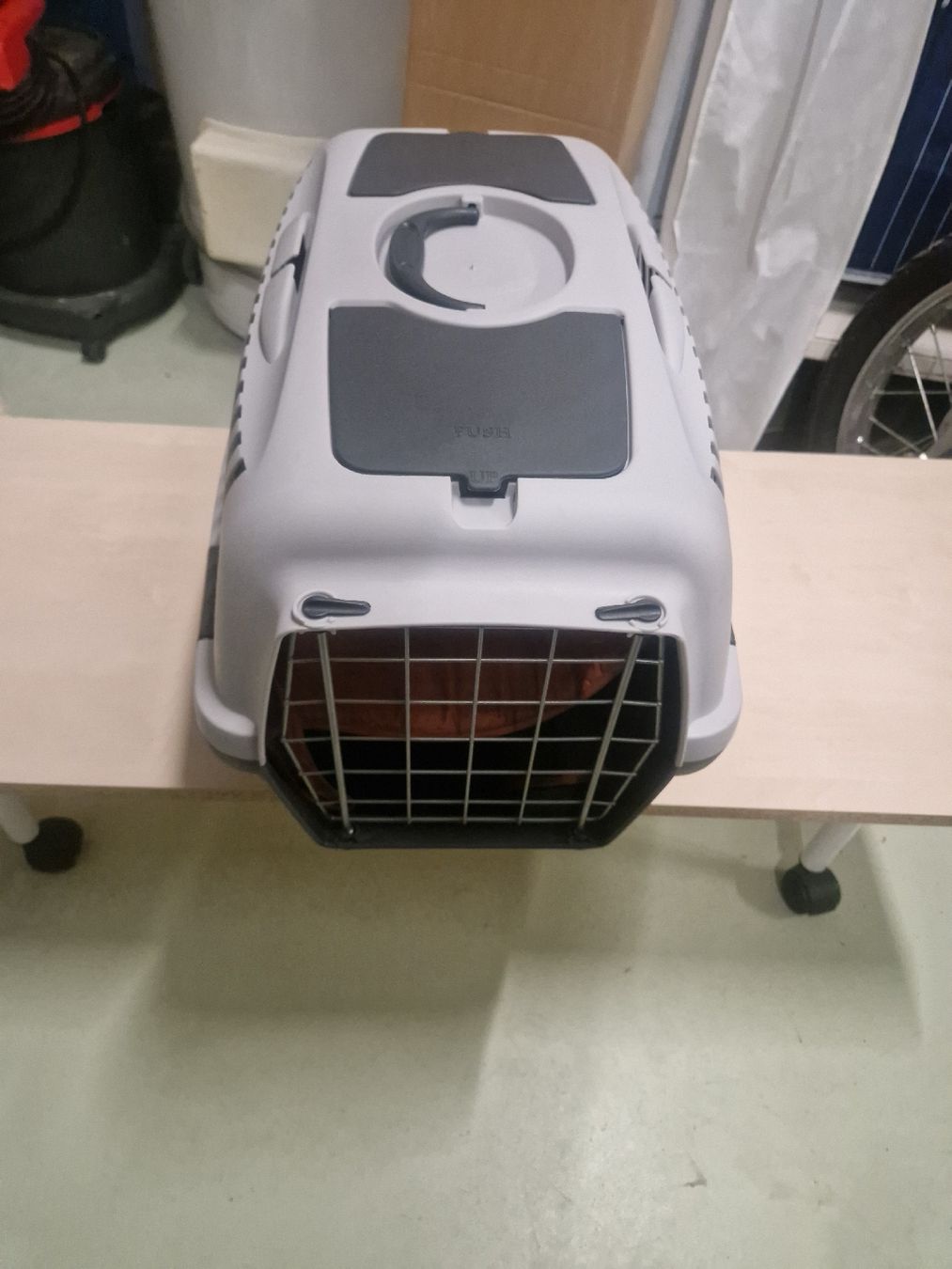 Gabbie, trasporto & Sicurezza: Transportbox circa 55 x30 x 30cm – Usato da Siebnen venduto da 15prozent-Shop 4