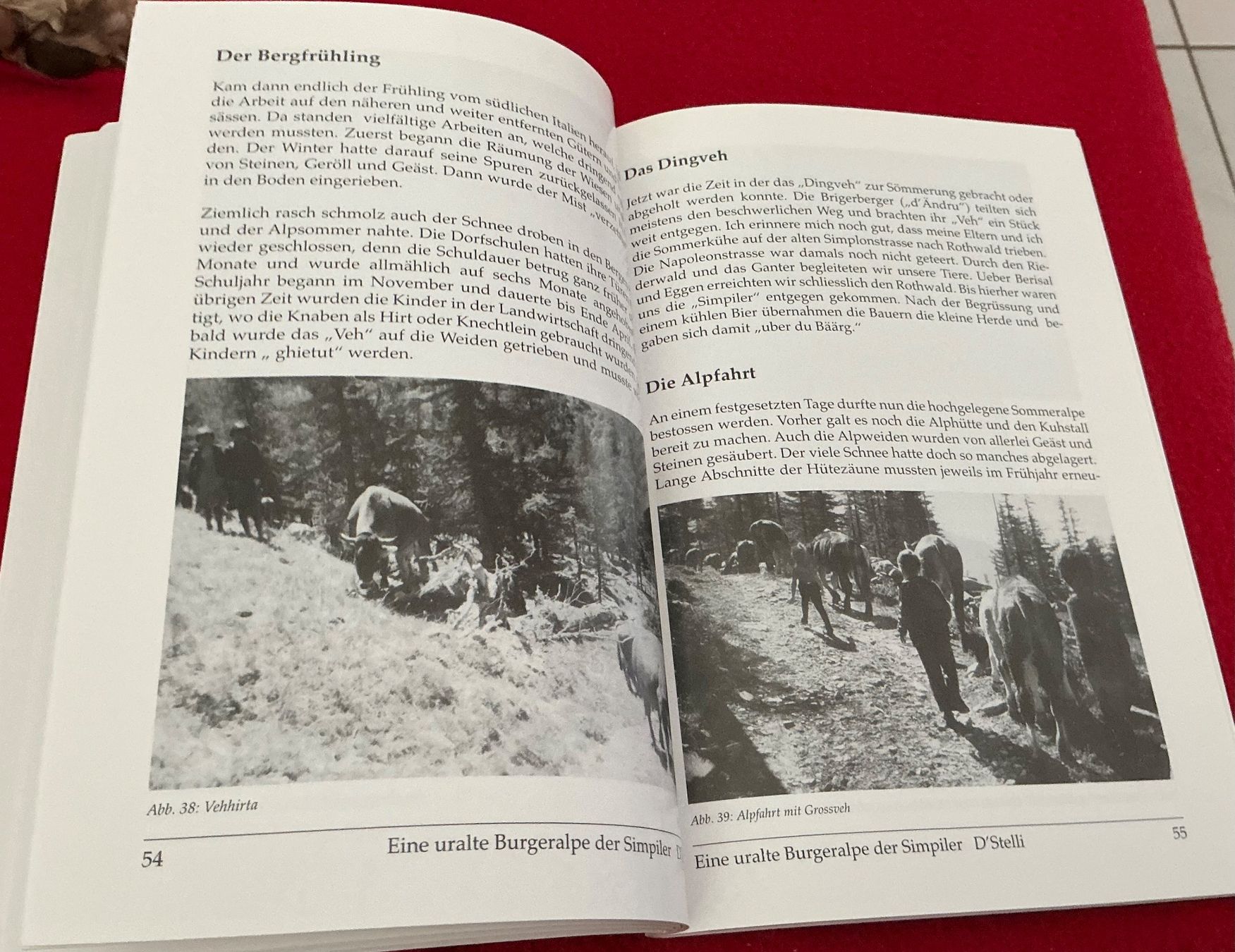 Libri: D’Stelli Eine uralte Burgeralpe der Simpiler" - Schmidhalter – Usato da Crans-Montana venduto da plainemorte 6