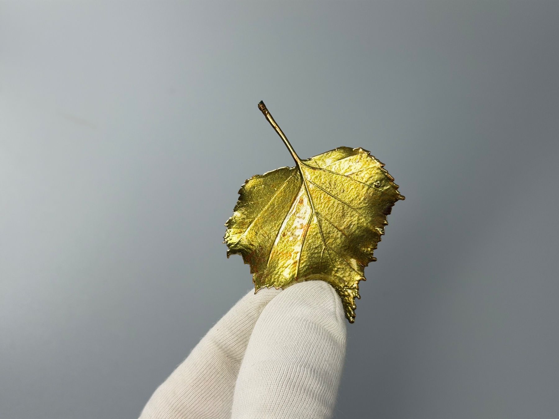 Spille & Fermagli: Blätter Brosche, Gold – Usato da Sennhof venduto da Johnbest
