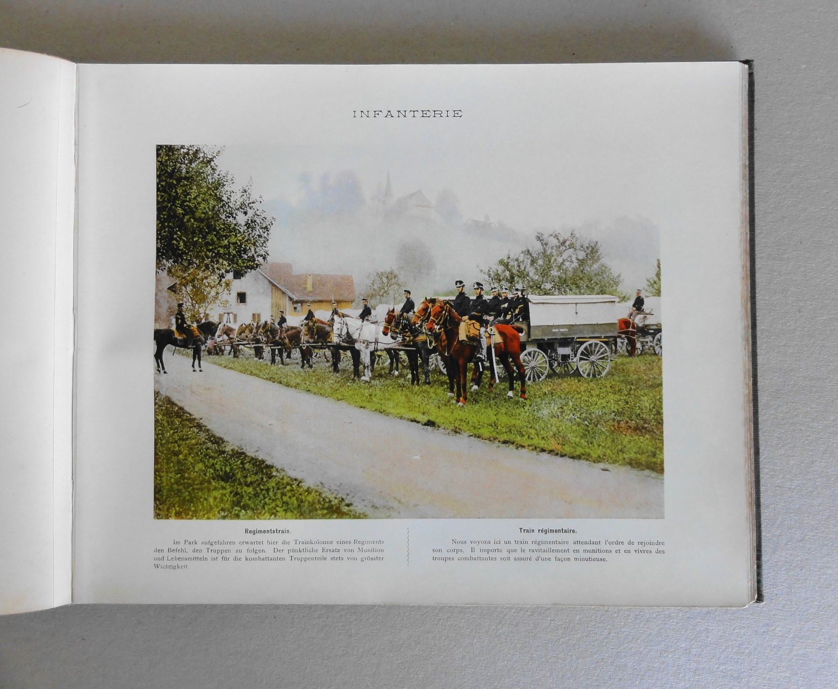 Libri: SCHWEIZERISCHE ARMEE in Bildern 1905 – Usato da Reiden venduto da cinfis 3