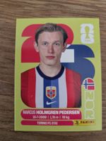 Panini Sticker 2026 NOR 6
