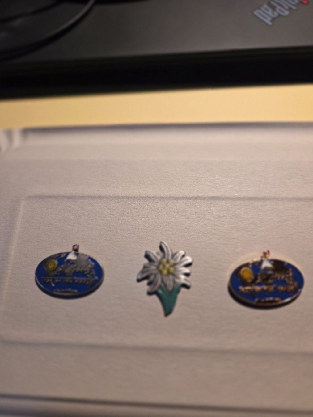 Placchette & Badge: 3 Pin St. Moritz – Usato da Rütschelen venduto da Urmel16