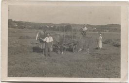 LANDWIRTSCHAFT/HEUEN 1920 mit Pferd ZH/TG?
