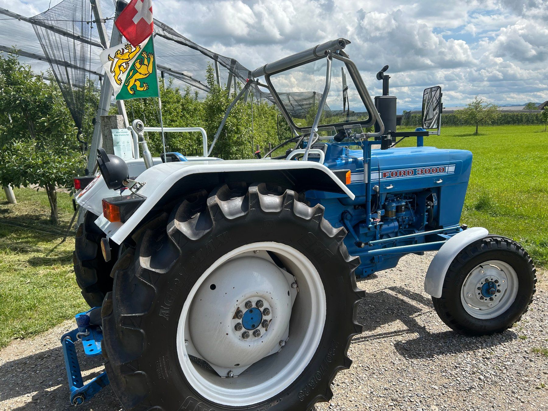 Ford Traktoren: Ford 3000 Traktor – Gebraucht aus Sulgen von ulita