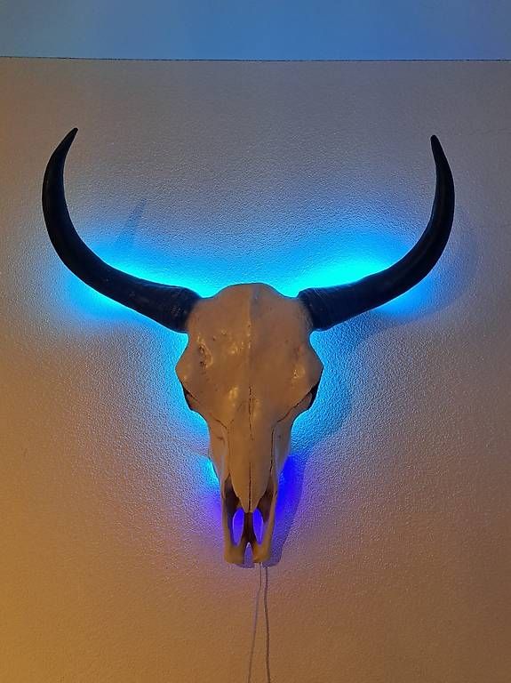 Monde des animaux: Tierschädel mit LED - Rinderschädel – D'occasion à Rothrist par yol_sp9c